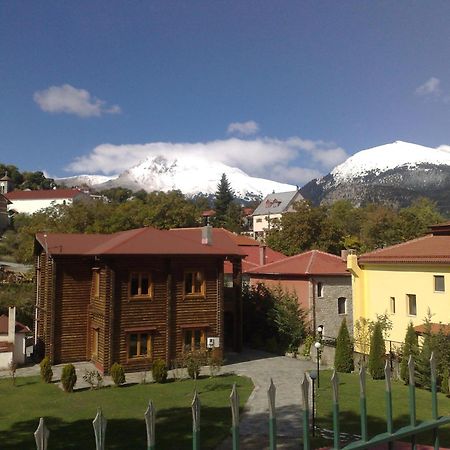 Stivakti Chalet Daire Karpenísion Dış mekan fotoğraf