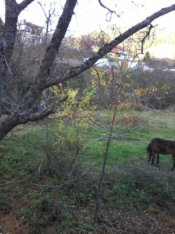 Stivakti Chalet Daire Karpenísion Dış mekan fotoğraf