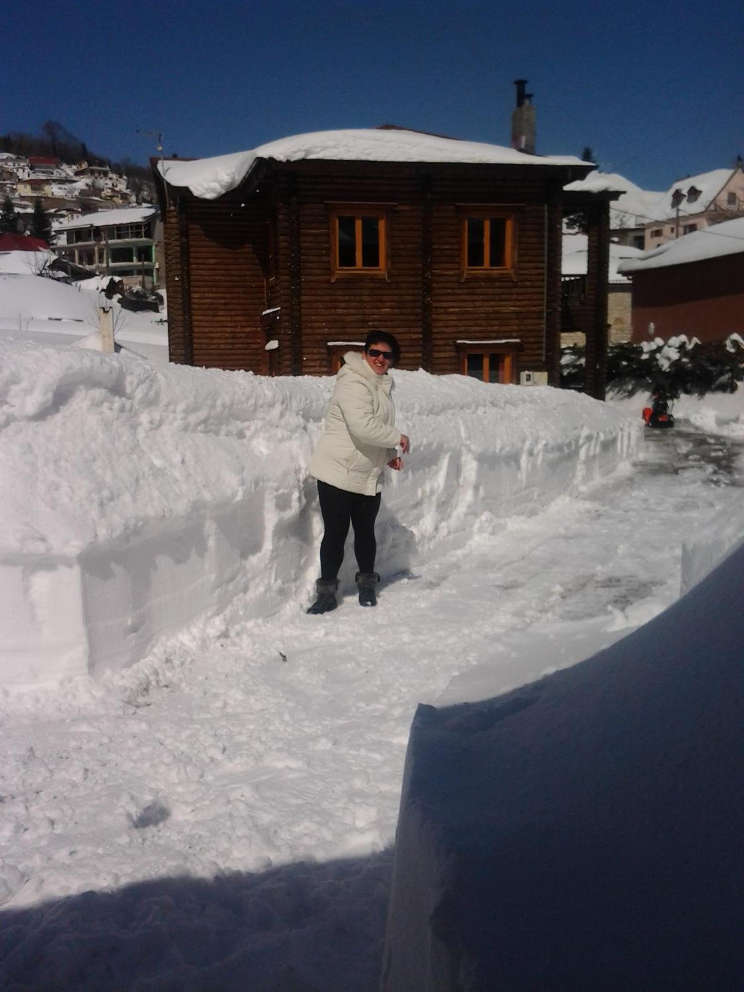 Stivakti Chalet Daire Karpenísion Dış mekan fotoğraf