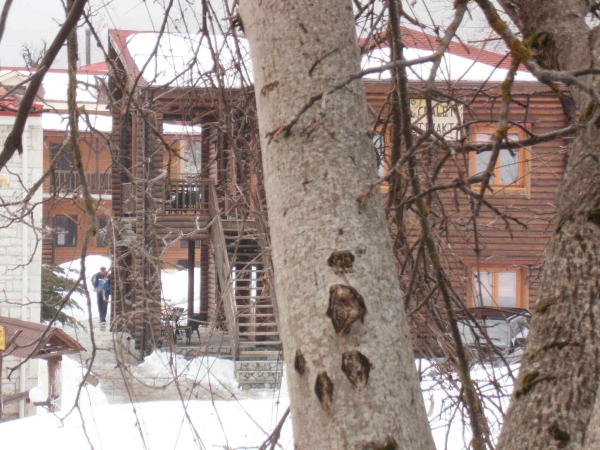 Stivakti Chalet Daire Karpenísion Dış mekan fotoğraf